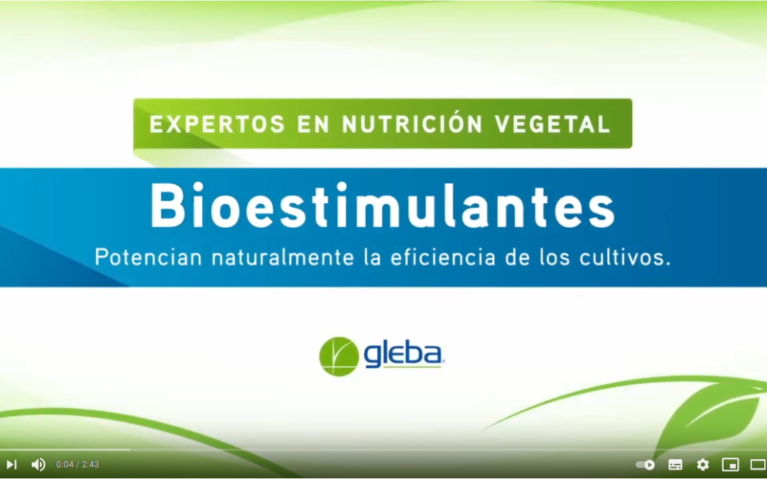 Bioestimulantes. Potencian naturalmente la eficiencia de los cultivos.