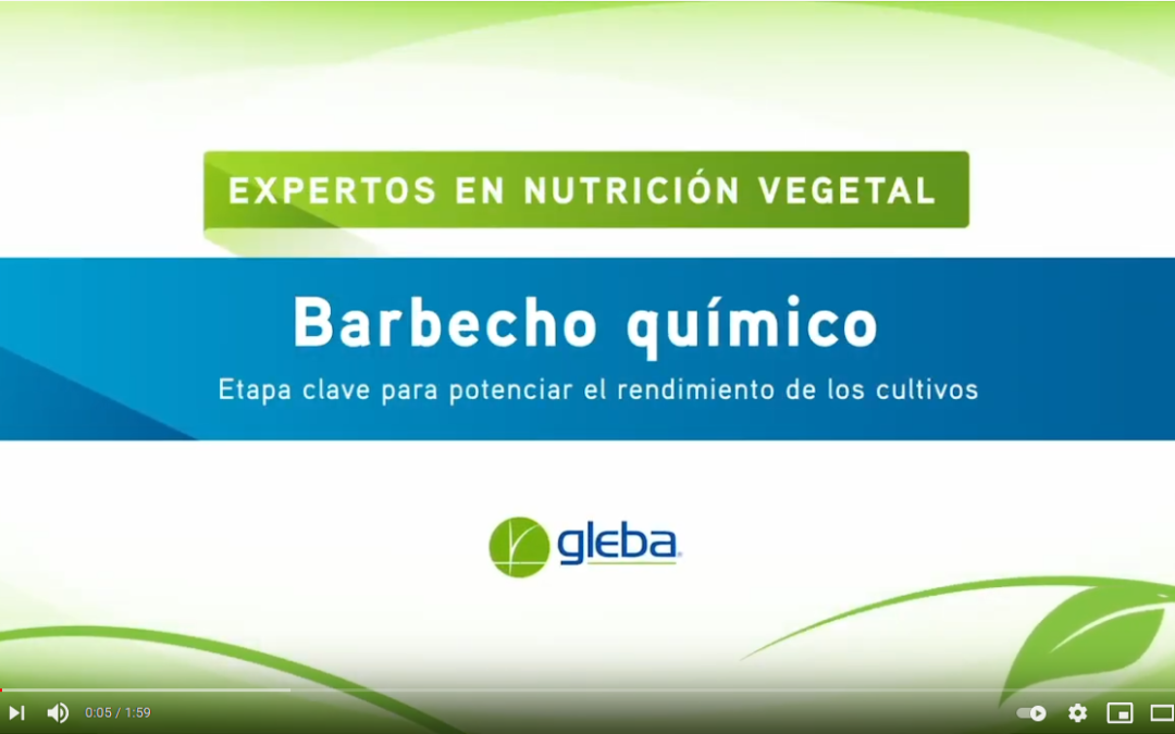 Barbecho químico. Etapa clave para potenciar el rendimiento de los cultivos.