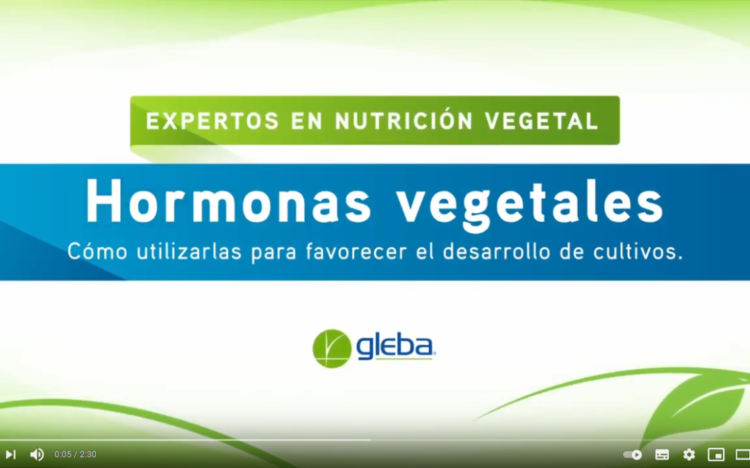 Hormonas vegetales. Cómo utilizarlas para favorecer el desarrollo de los cultivos.