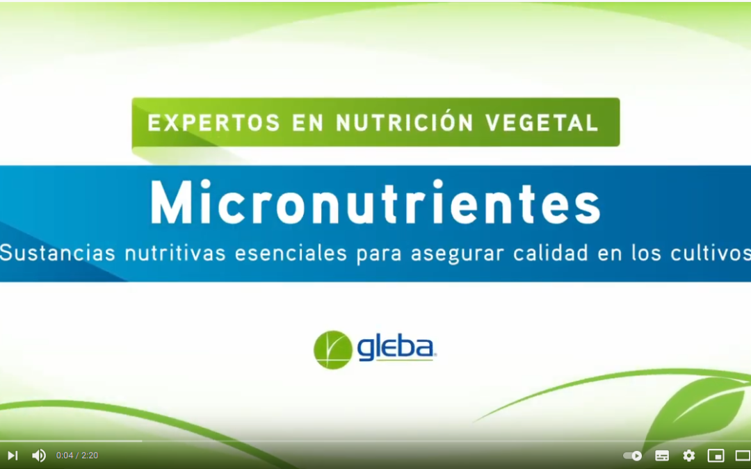 Micronutrientes. Sustancias nutritivas esenciales para asegurar calidad en los cultivos.