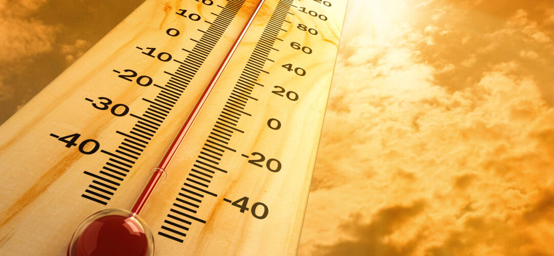 La temperatura afecta la eficacia de los insecticidas