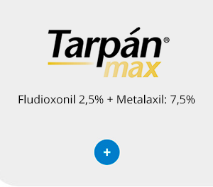Tarpán Max