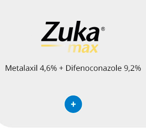 Zuka Max