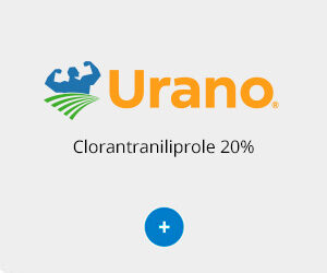 Urano