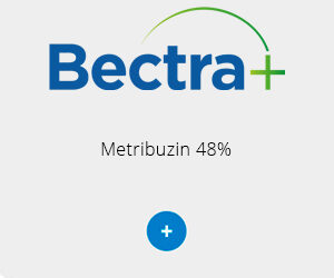 Bectra+