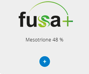 Fussa+