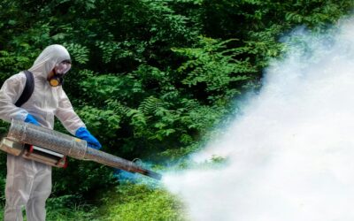 Termoniebla: una herramienta clave en el control profesional de plagas urbanas