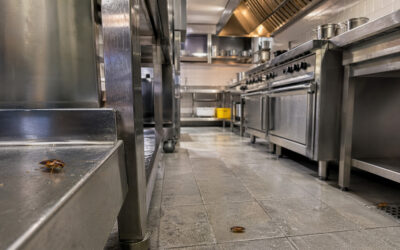 Manejo integrado de cucarachas en cocinas: foco en Blattella germanica