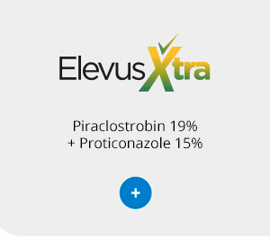 Elevus Xtra