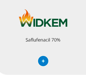 Widkem